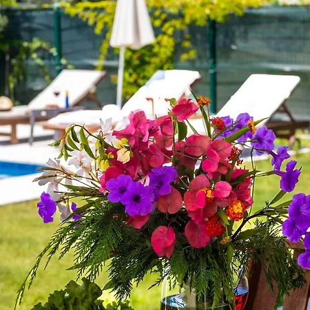 Διαμέρισμα Nergis By Safiya *