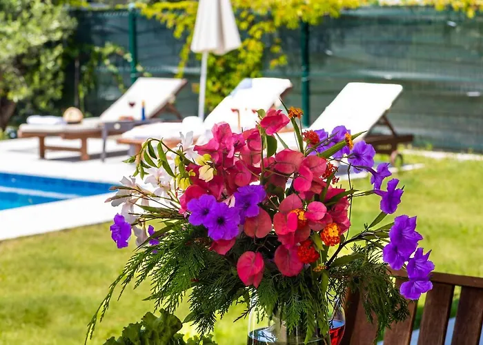 Daire Nergis By Safiya *