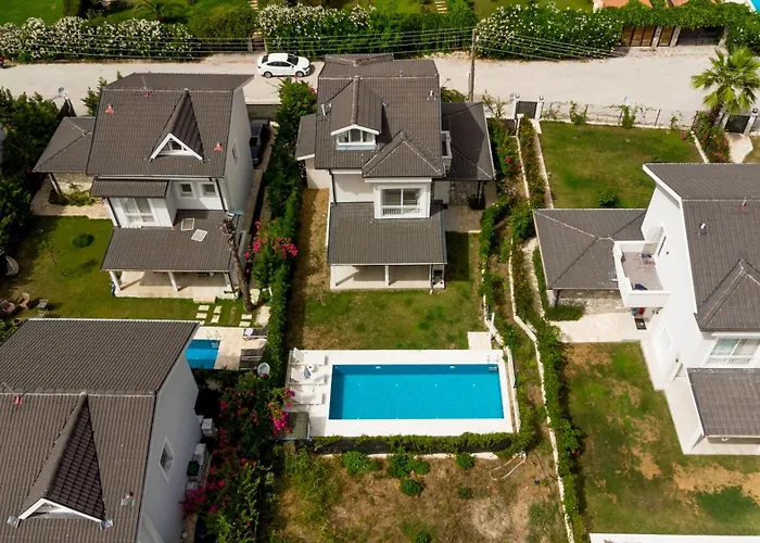 Nergis By Safiya Daire