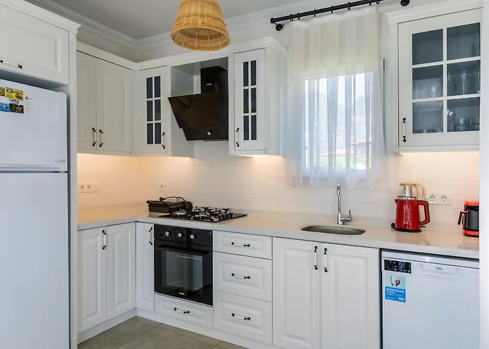 Nergis By Safiya Daire *