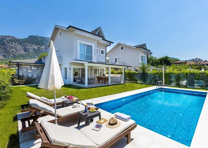 Daire Nergis By Safiya