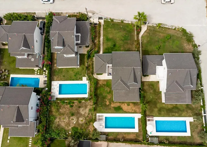 Nergis By Safiya Daire